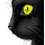 Guiomar Rosa de Campos's profile image