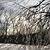 Janet Mutter's profile image