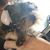 Brian Foraker's profile image