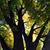 Sheri Highland's profile image