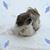 Sylvie Elbe's profile image
