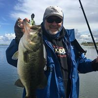 Bob Williams's profile image