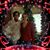 Heather Erickson-Amrein's profile image