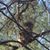 Thomas M Simko's profile image