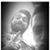 Ali Ali Melkbaar's profile image