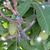 Peggy Couette's profile image