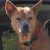 Charles Neathery's profile image