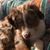 Terri Jeanes Day's profile image