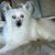 Michelle Zbinden Radcliff's profile image