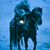 Tammy Hogue Magilke's profile image