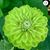 Teresa Foster Denney's profile image