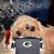 Rodny Concepcion's profile image