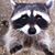 Mauricio Pfeiffer's profile image