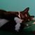 Richard Kepper's profile image