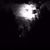 Janice Ketcham's profile image