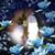 Amber LeGrand's profile image
