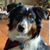 Brenda Schoentag's profile image