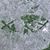 Amy Goodspeed's profile image