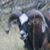 Brian Baker's profile image