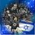Nicole Ficht-Ames's profile image