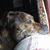 Cindy Flynn's profile image