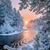 JoAnn Ursillo's profile image