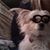 Robert Stout's profile image