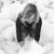 Gina Forker Lapihuska's profile image