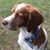 Georgene Kramer's profile image