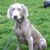 Gail Totten's profile image