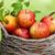 Debra Hansen Wallace's profile image