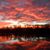 Elaine Sisson's profile image