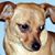Linda Gail Teal Smith's profile image