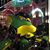 Al Perron Jr.'s profile image