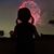 Tammy Audet's profile image