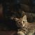 Lyn Serino's profile image