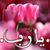 الامل الحياة الجميلة's profile image