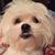 Kimberly Mears Crews's profile image