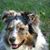 Hope Meyer's profile image