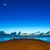 杨依's profile image