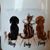 Sherry G McCarsky's profile image