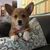 Kristine Scuffham LeFevre's profile image