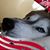 Jackie Perkins's profile image