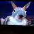 Hal Studholme's profile image