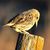 Catherine Doud's profile image