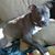 Michelle Raney's profile image