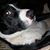 Maureen Sheahan's profile image
