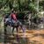Susan Jarrell's profile image