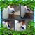 Jessica Rodriguez's profile image