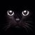 Aristos Konstantinou's profile image